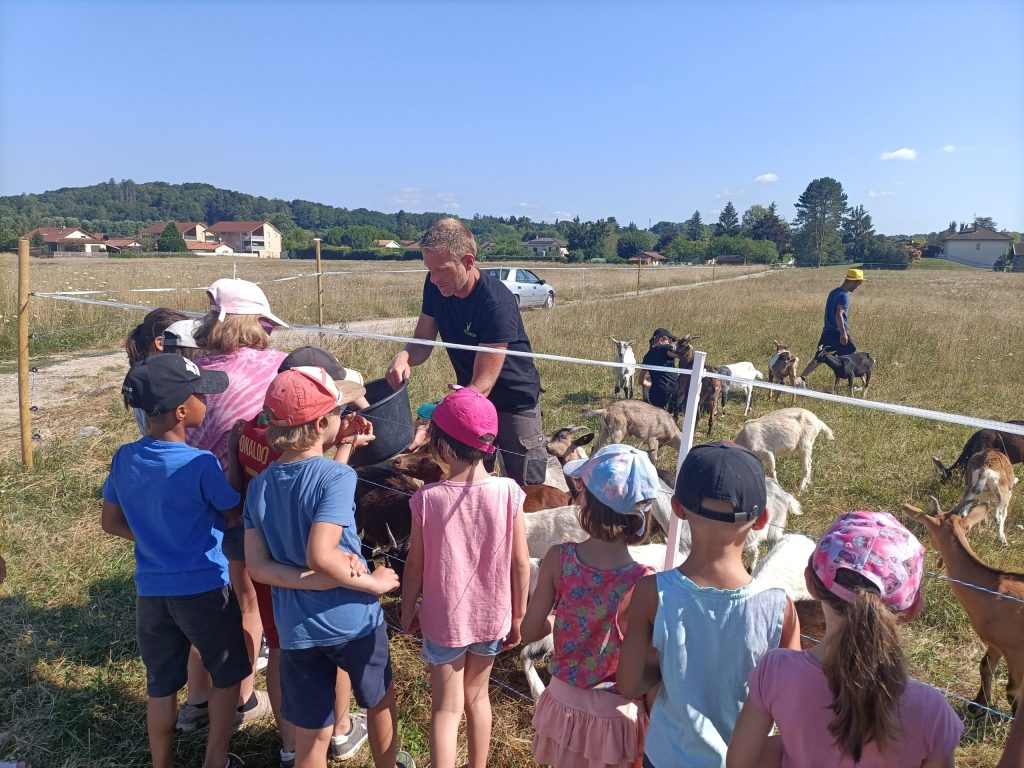 Le jeudi 21 juillet 2022, les enfants du centre aéré de Pont d’Ain se sont rendus sur le terrain du futur parc photovoltaïque et ont pu découvrir l’éco-pâturage à travers de nombreuses activités pédagogiques. La société Vitagreen était présente pour animer et donner des explications aux enfants.