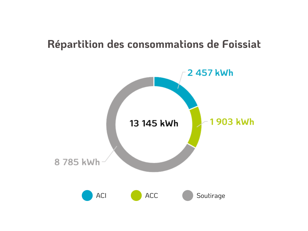 La première opération d’autoconsommation collective (ACC) de la SEM LEA est en service depuis le 1er juin 2025 à Foissiat.